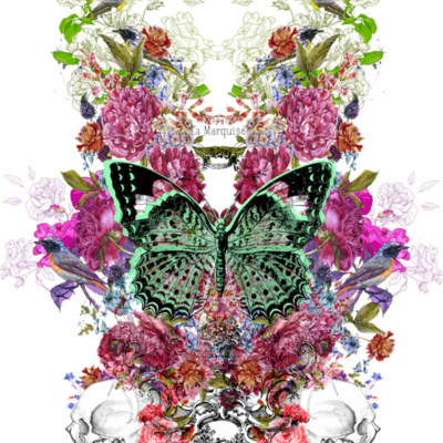 Butterfly Thumbnail